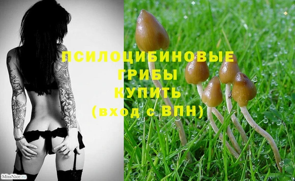 молекула духа Балахна