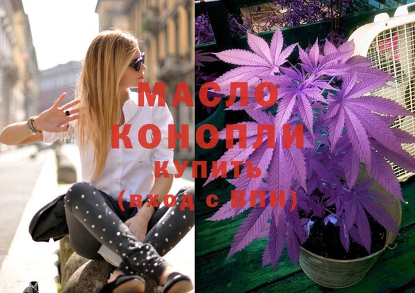 молекула духа Балахна