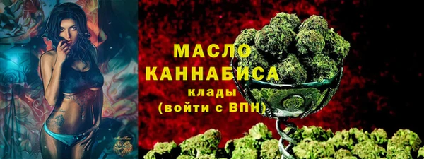 молекула духа Балахна